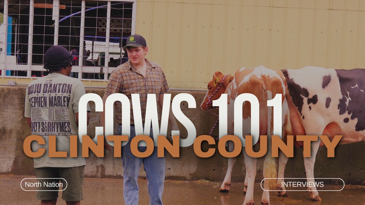 Cows 101 - Clinton County